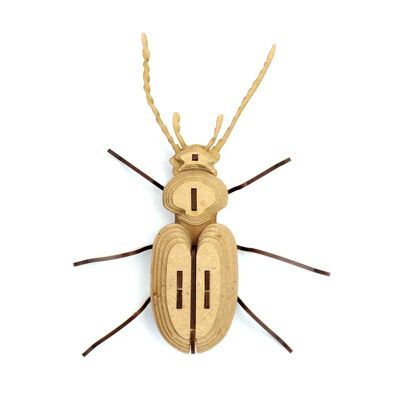 Insect Chatouillus WOOD