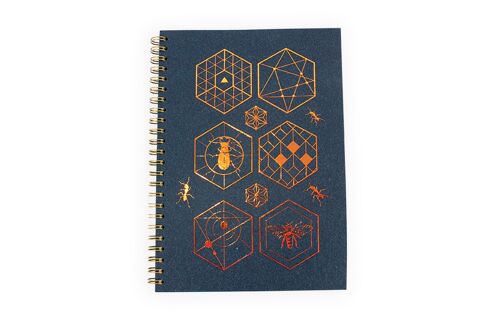 Carnet grimoire Curiosité