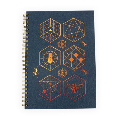 Curiosity grimoire notebook