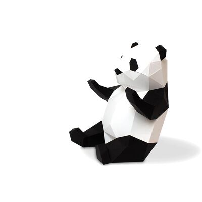 Trofeo Baby Panda
