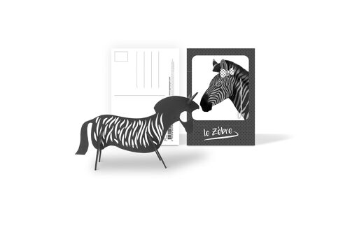 Carte postale animaux pulp Zebre