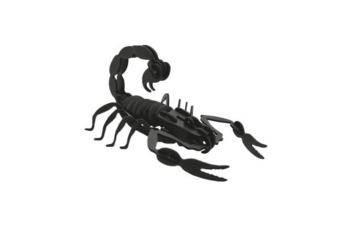 Scorpion en carton noir