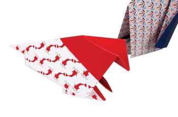 Kit Origami Japon 5
