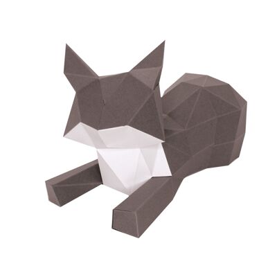 Trophée Babies Chat couché