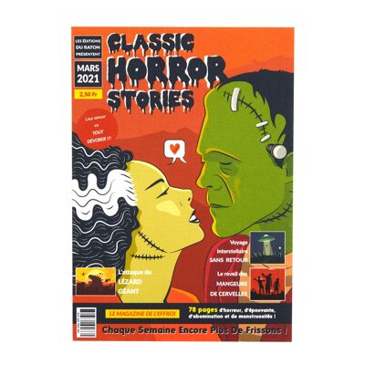 Affiche Horror Stories Frankenstein