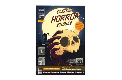 Affiche Horror Stories Zombie