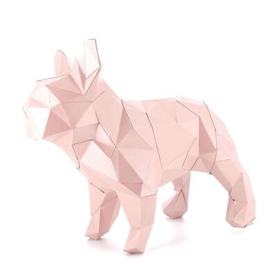 3D-Papier Bulldogge Rose Irise