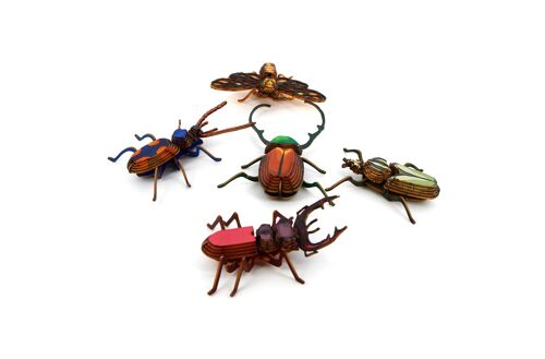Kit petits insectes Classiques