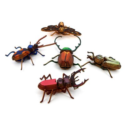 Kit de pequeños insectos clásicos