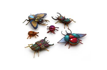 Kit petits insectes Exotiques
