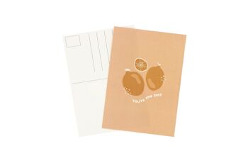 Cartes postales minimalistes Zest