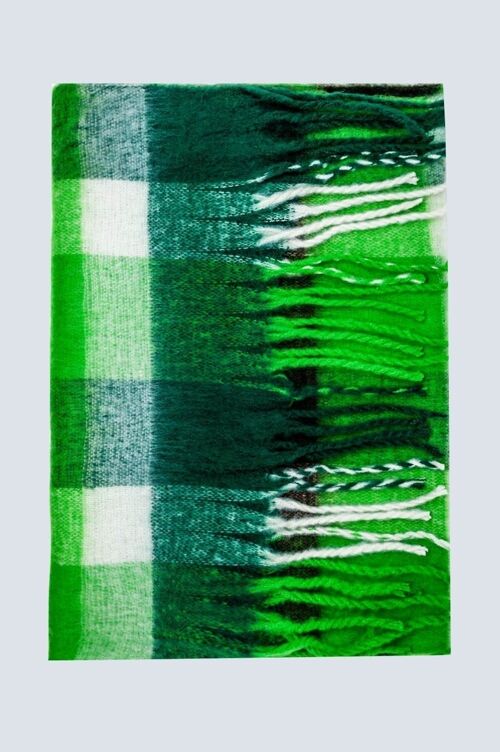 Brushed fringed scarf in green check
