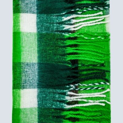 Sciarpa con frange spazzolate a quadri verdi
