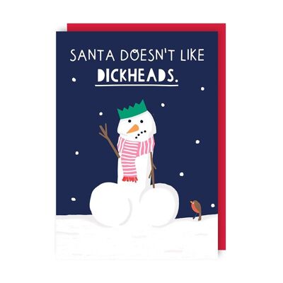 Paquete de 6 tarjetas navideñas a Papá Noel no le gustan los idiotas