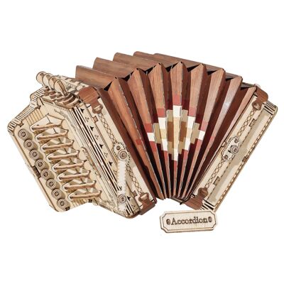 Fisarmonica per strumenti musicali in legno 3D fai da te, Robotime, TG410, 17×7.5×9.5 cm