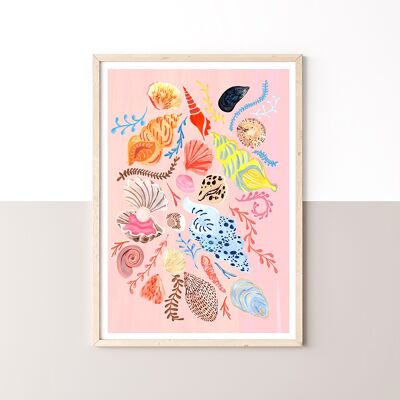 Collection of Shells Art Print