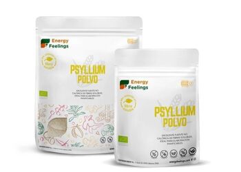 POUDRE DE PSYLLIUM BIO - 500 g 3