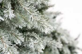 Arbre de Noël artificiel à feuilles persistantes, épicéa givré | Blanc | 116x180cm 4