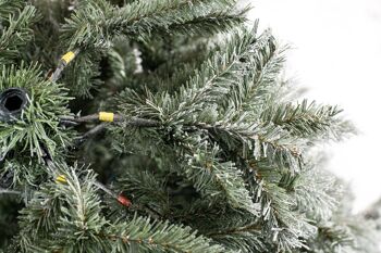Arbre de Noël artificiel à feuilles persistantes, épicéa givré | Blanc | 116x180cm 5