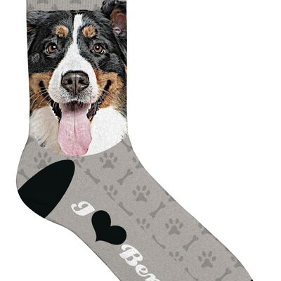 Sock Bernese Mountain Dog 33-38