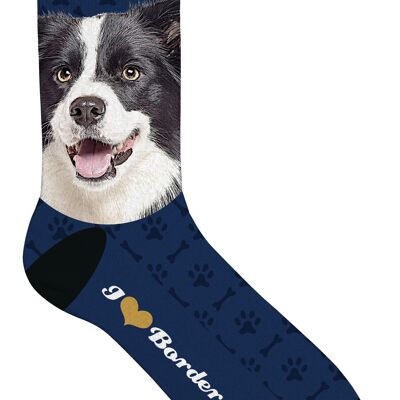 Sock Border collie 33-38