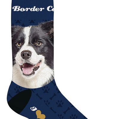 Sock Border collie 39-44
