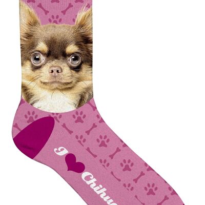 Sock Chihuahua 33-38
