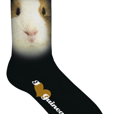 Sock Guinea pig 33-38