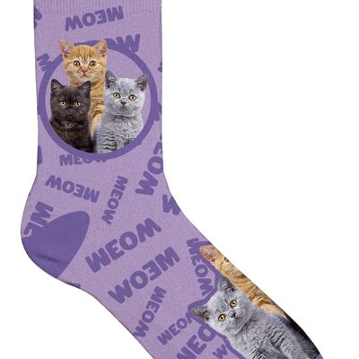 Sock Kittens 37-42