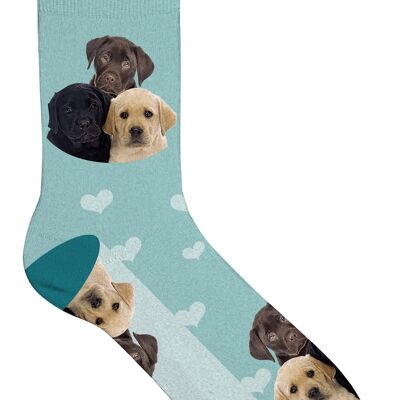 Sock Puppies 39-44