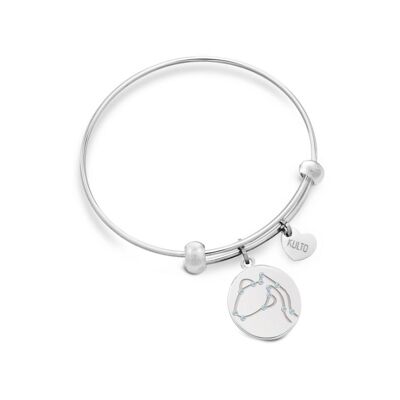 PENDENTIF ACQUARIUS BANGLE KULTO ZODIAC SS