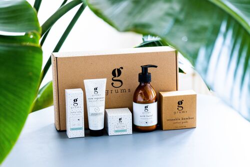 The Complete Facial Kit (cleanse + face scrub + face cream + serum + bamboo pads)