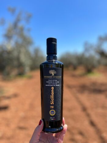 Huile d'olive extra vierge certifiée IGP : Il Siciliano A 2