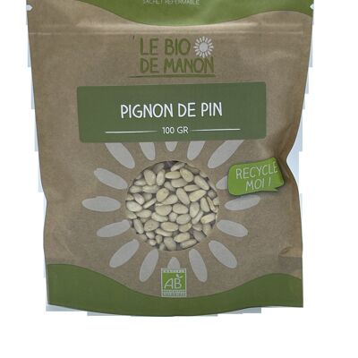 Piñones de pino