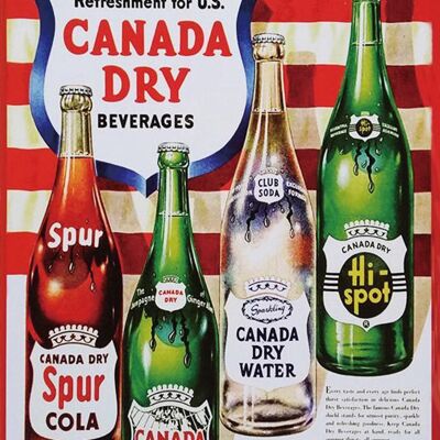 CANADA DRY Metallplatte