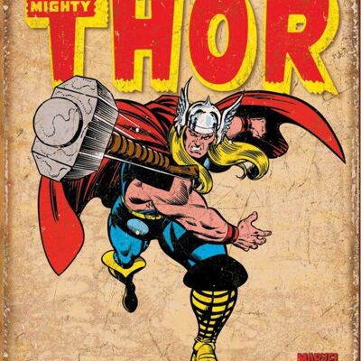 Metal plate Thor
