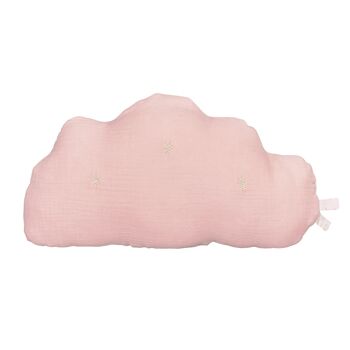 COUSSIN ROSE LILY POUDREE 1