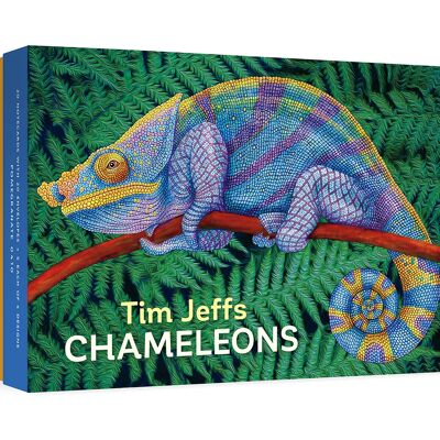 Tim Jeffs: Chameleons Boxed Notecard Assortment
