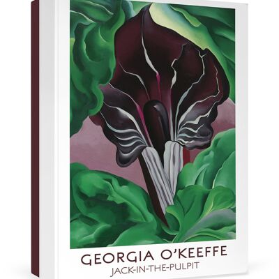Georgia O'Keeffe: Jack-in-the-Pulpit Boxed Notecards