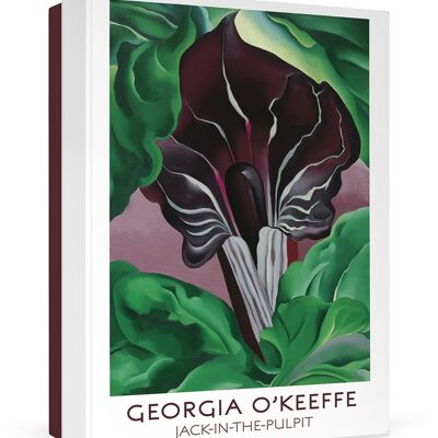Georgia O'Keeffe: Jack-in-the-Pulpit Boxed Notecards