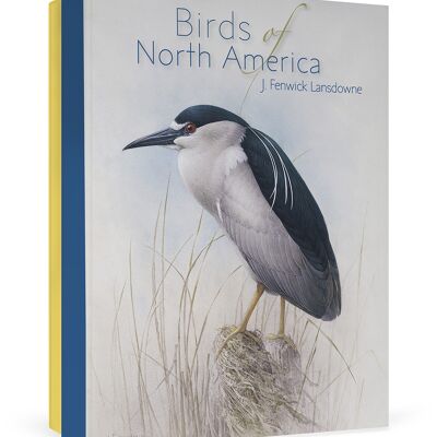 Birds of North America: J. Fenwick Lansdowne Boxed Notecards