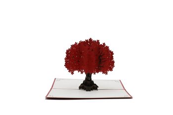 Arbre, carte pop-up rouge carte pliante 3d 1