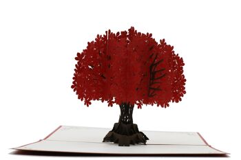 Arbre, carte pop-up rouge carte pliante 3d 2