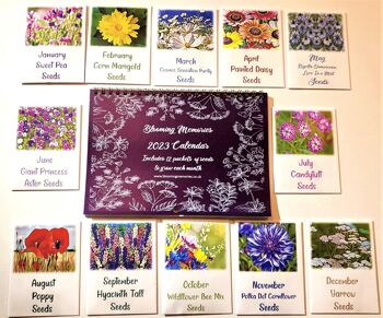 Calendrier de graines de fleurs 2023 avec 12 paquets de graines et coffret cadeau botanique Jardinage Nature Écologique Noël 2