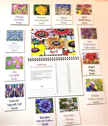 Calendrier de graines de fleurs 2023 avec 12 paquets de graines et coffret cadeau botanique Jardinage Nature Écologique Noël 4