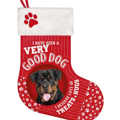 Stocking Rottweiler