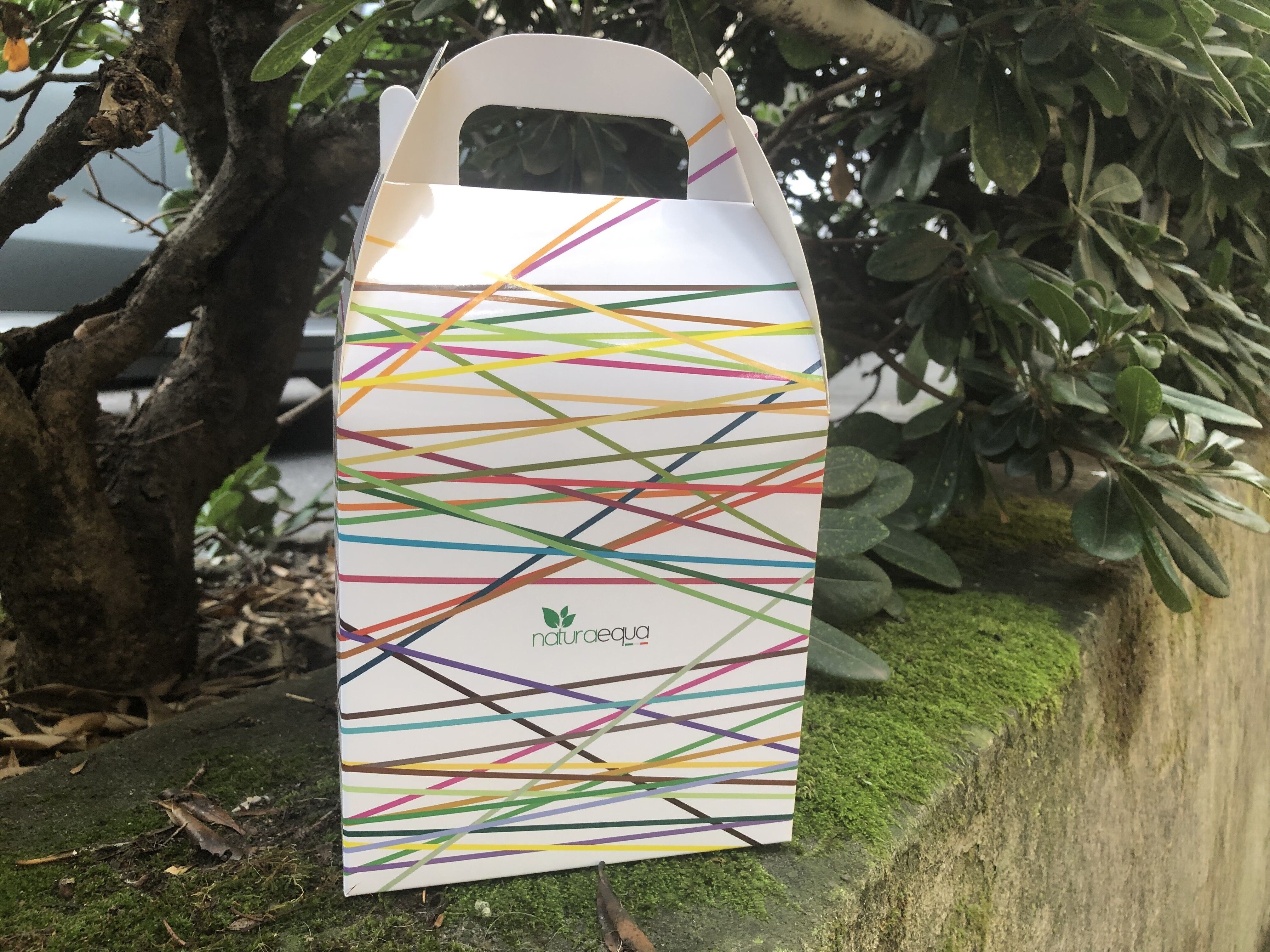 Confezione regalo arcobaleno (vuota)
