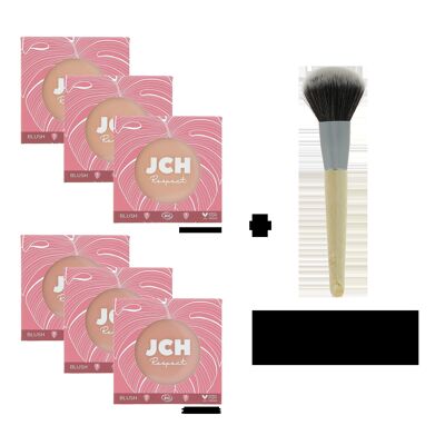 Pack of 6 assorted blush + 1 powder brush offered