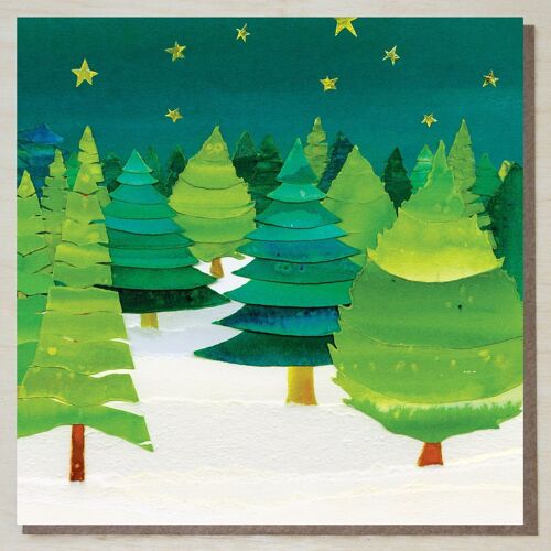 Christmas Card (starry night)