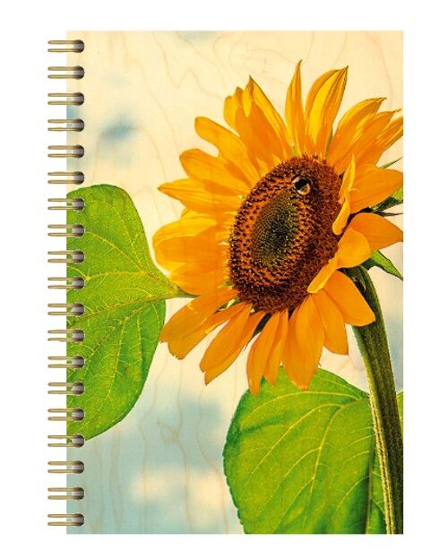 CARNET COUVERTURE BOIS - TOURNESOL